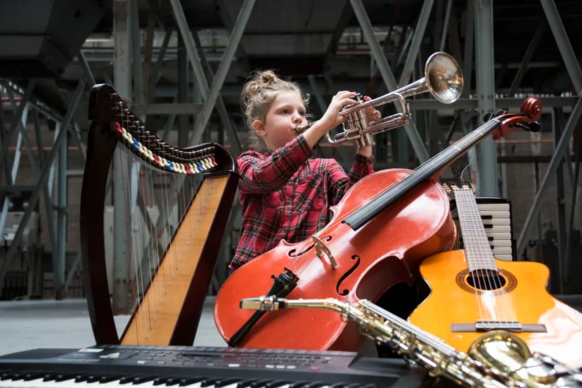 phoenix instrumenten ckarinjonkers068