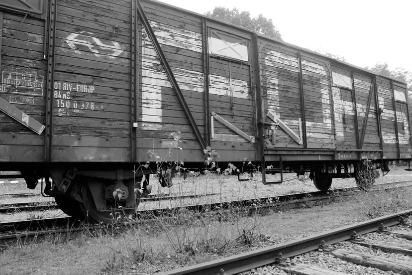 photo 2017 09 25 11 45 34