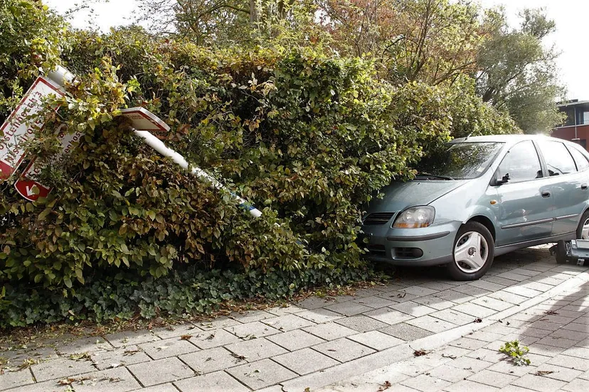 photo 2017 10 01 11 38 51