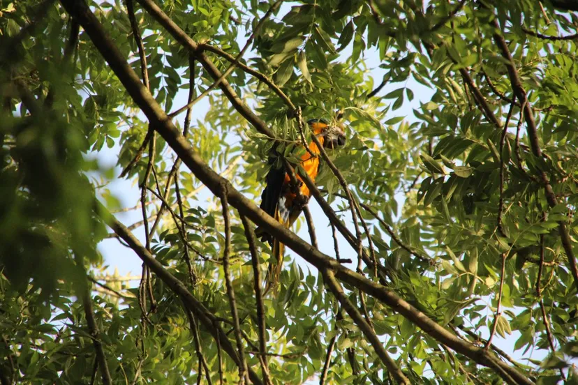 photo 2017 10 16 17 33 37