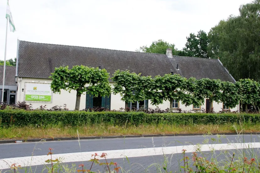 photo 2018 05 24 08 39 11