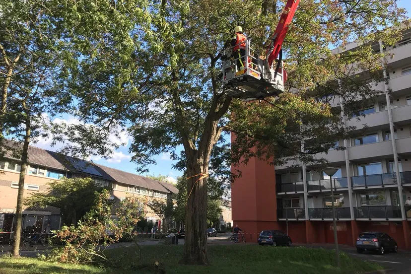 photo 2018 09 21 17 06 23