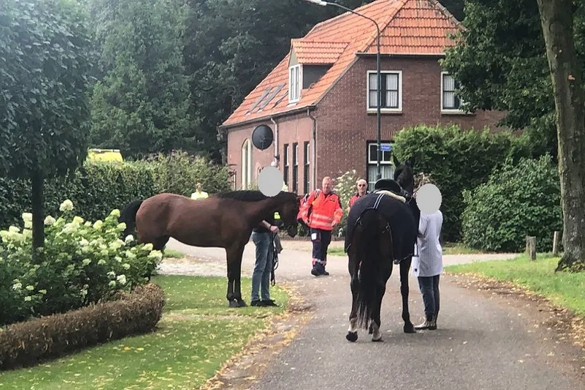 photo 2023 07 30 10 42 27