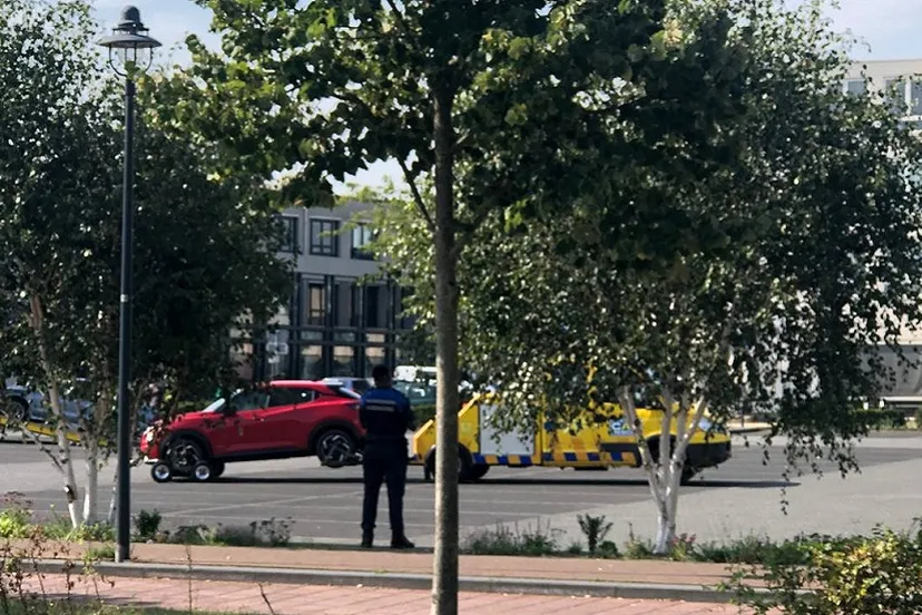 photo 2023 09 12 15 15 47