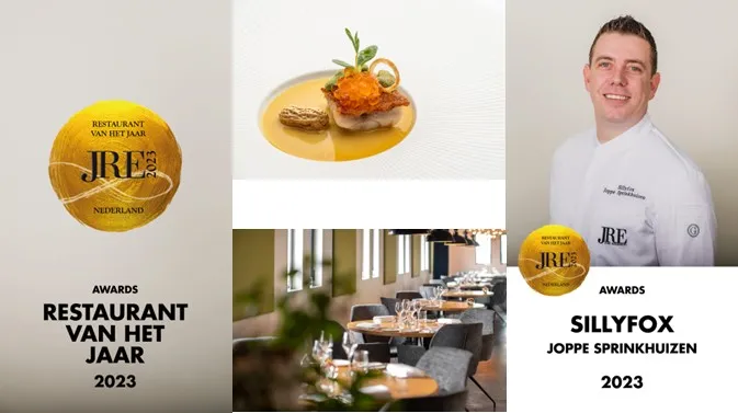 sillyfox 896x504 1 1