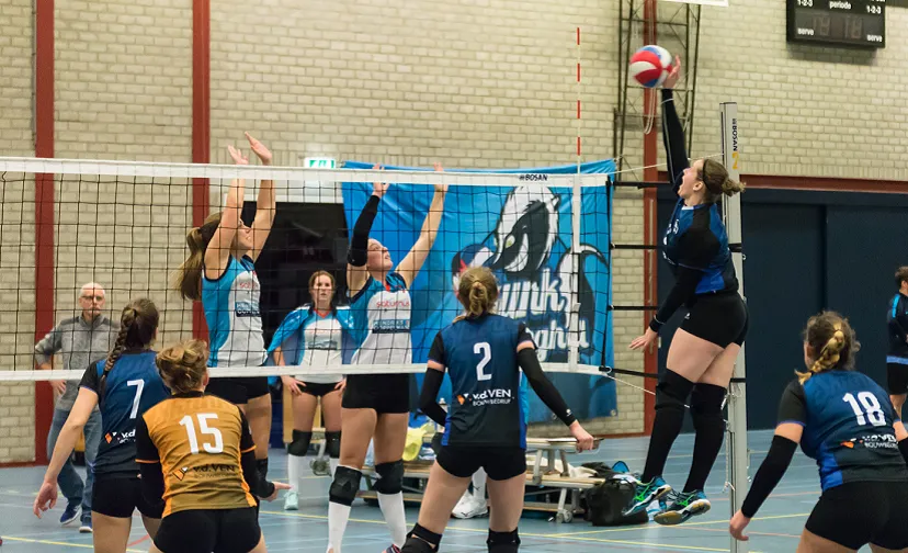 skunk dames 1 896x504