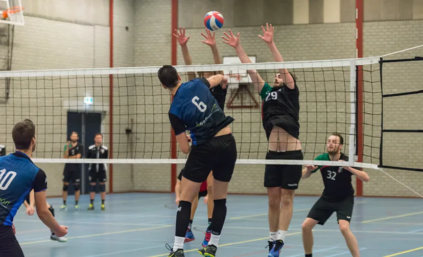 skunk heren 1 896x504