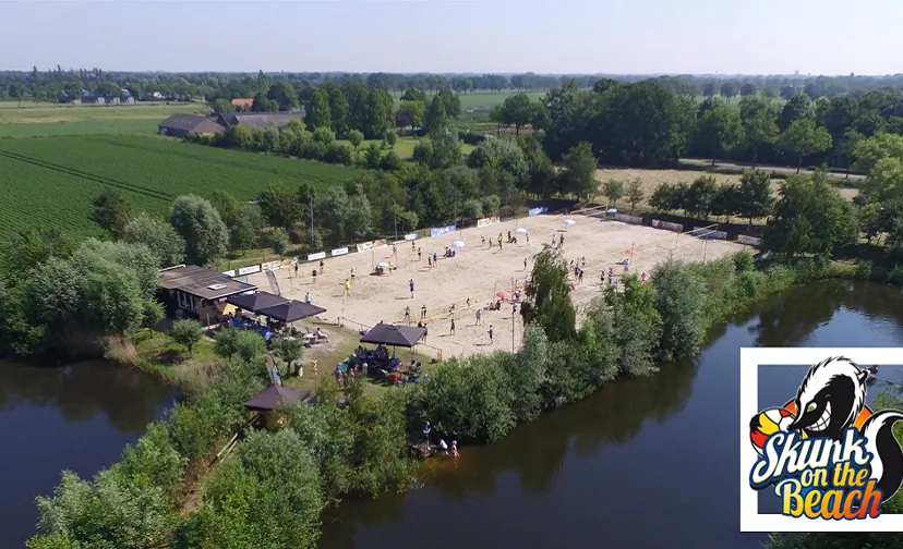 skunk on the beach 896x504