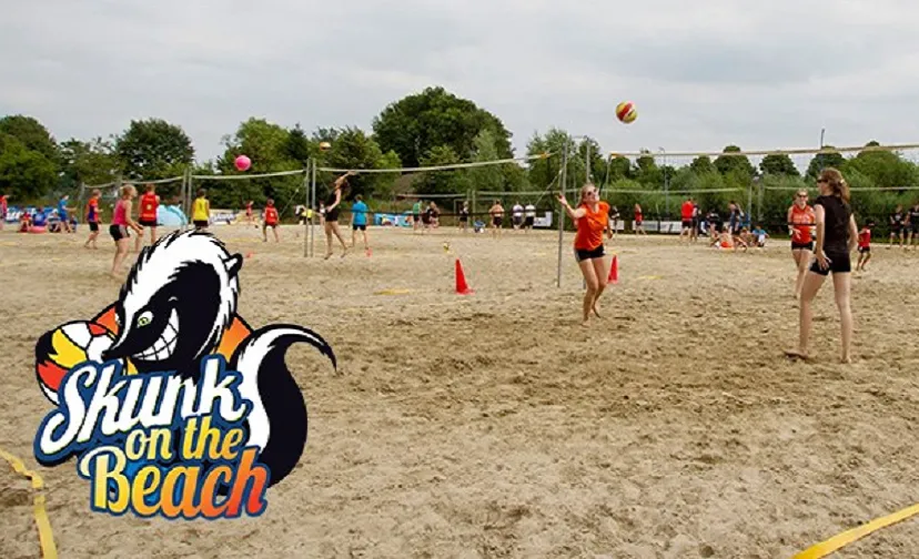 skunk on the beach 896x504
