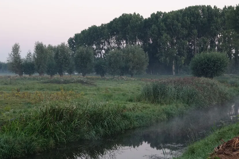 waterschap aa en maas