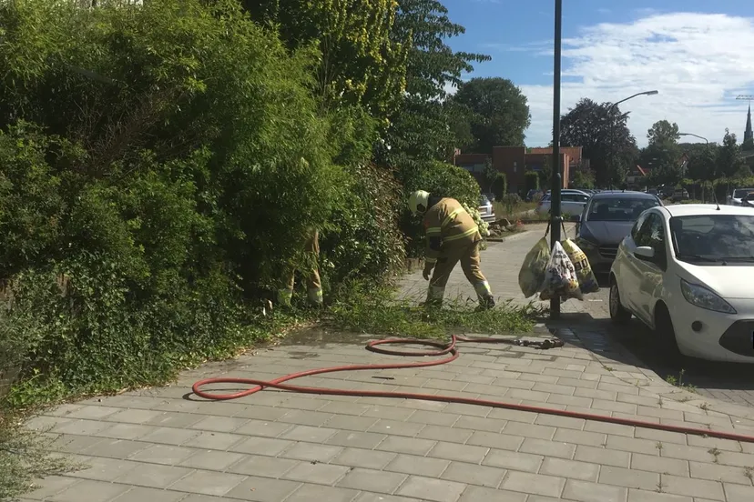 whatsapp image 2020 07 19 at 162923