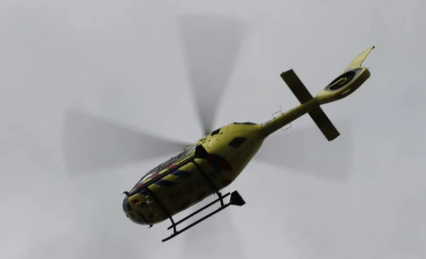 whatsapp image 2022 10 03 at 20459 pm