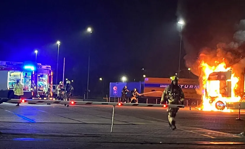 whatsapp image 2022 11 26 at 73820 am