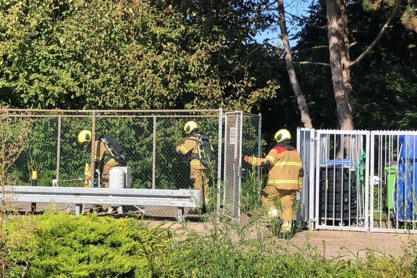 whatsapp image 2023 09 07 at 160744