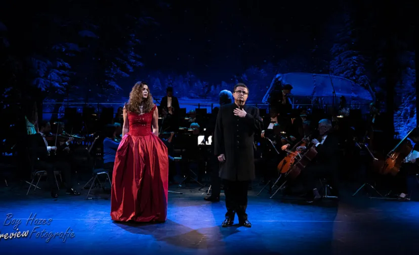 wilma bierens 896x504