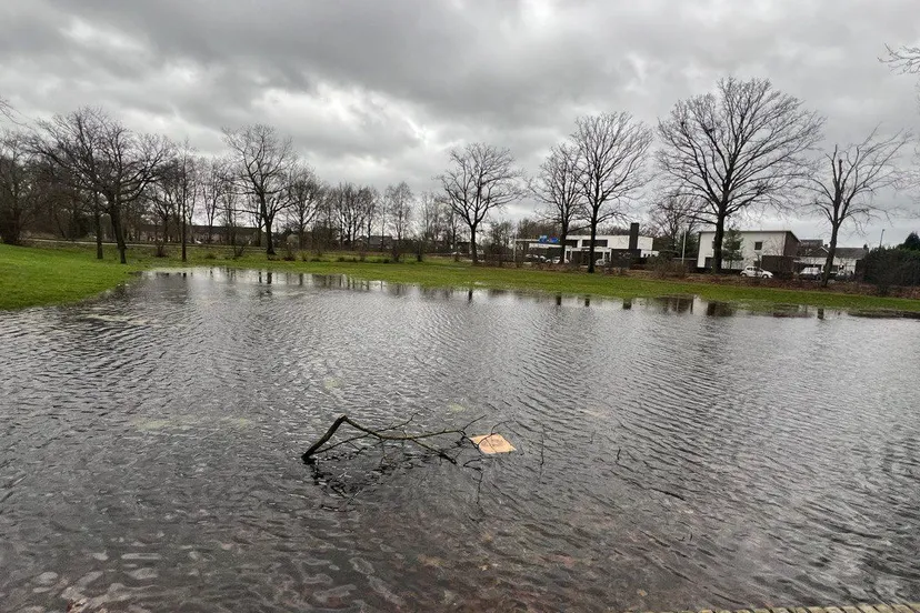 photo 2024 11 08 21 31 39