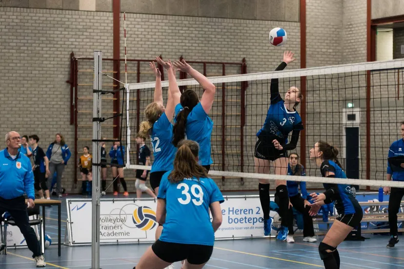 afbeelding van whatsapp op 2025 01 12 om 110443 5d0c9fda