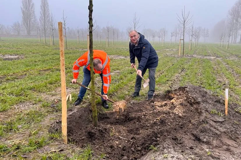 planten laatste boom boomgaard veghels buiten noordoost 1