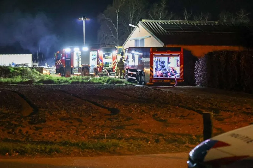 afbeelding van whatsapp op 2025 03 28 om 080133 e6b0181f