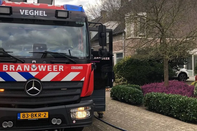 photo 2025 03 13 16 33 03