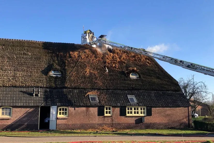 photo 2025 03 18 18 20 29