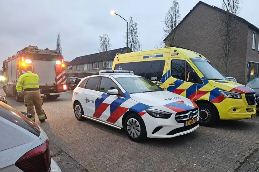 photo 2025 03 28 19 08 30