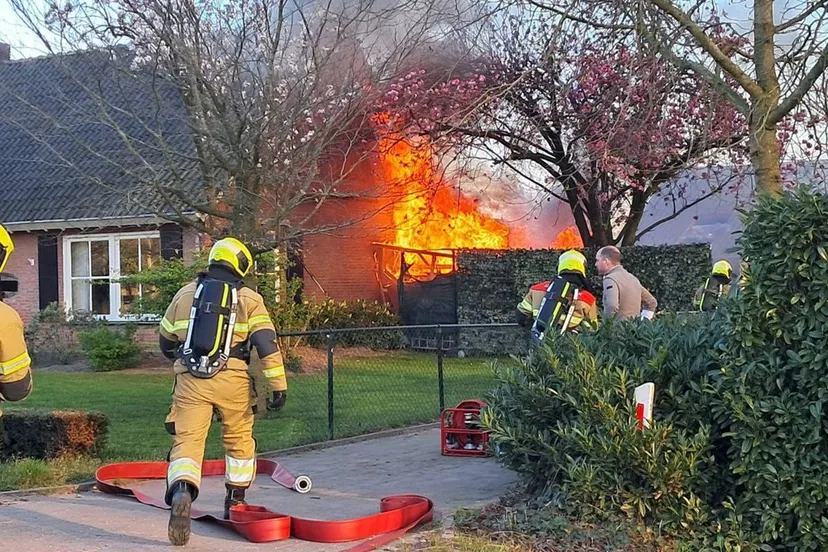 photo 2025 04 06 20 06 47