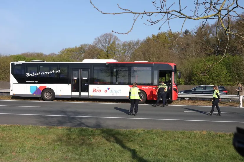 photo 2025 04 11 10 09 45