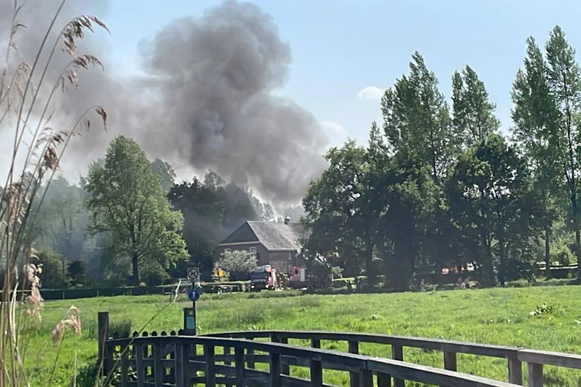 afbeelding van whatsapp op 2025 05 02 om 152916 dd28e404