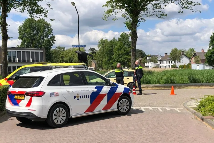 photo 2025 05 17 12 26 02