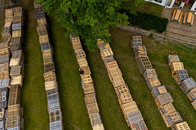 10-08-2025 Veghel in Hout 00