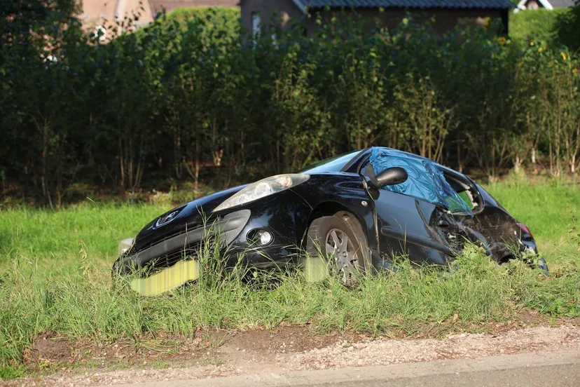 photo_2025-08-06_09-33-42