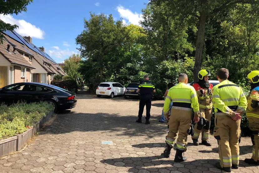 photo_2025-08-31_13-57-41