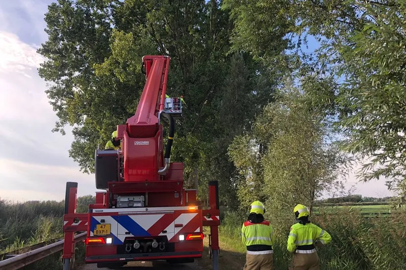 06-09-2025 Stormschade Bosscheweg Keldonk 01