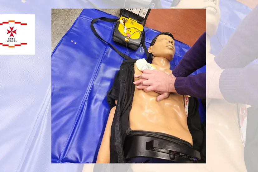 LOGO EHBO Veghel kop