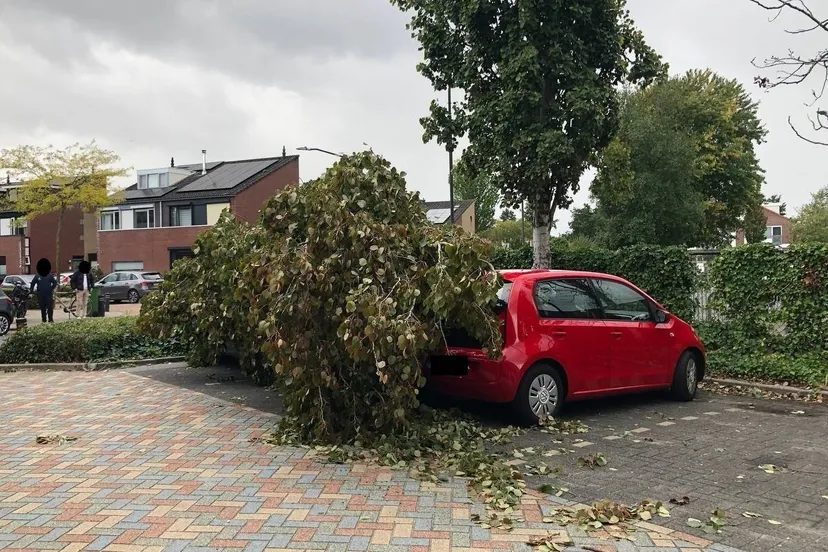 photo_2025-09-15_15-14-57