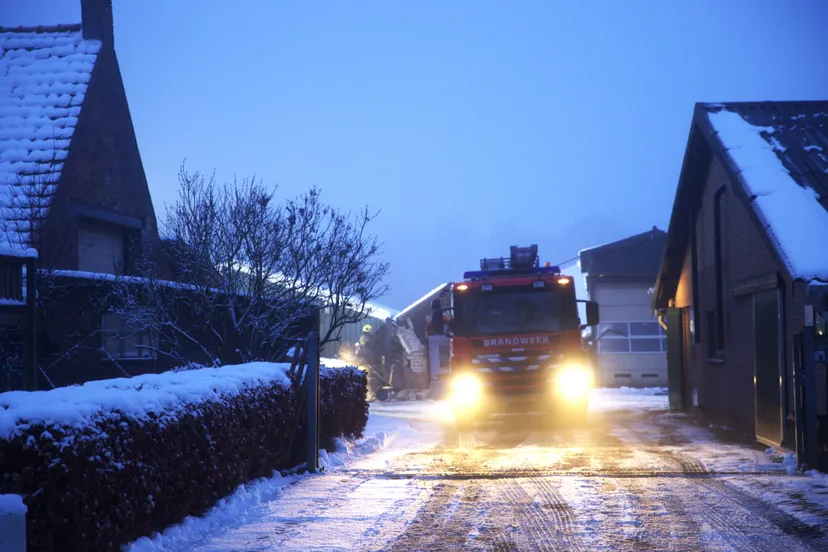 06-01-2026 Instorting stal Dorshout Veghel
