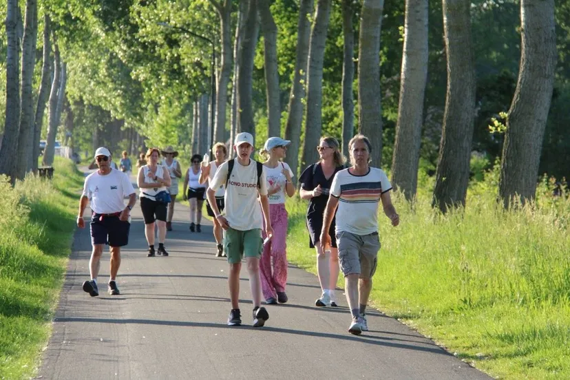 26-05-2026 Avondvierdaagse Schijndel 11