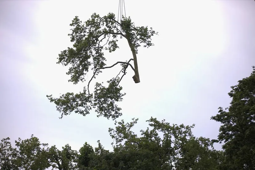 30-06-2026 Kappen plataan 05