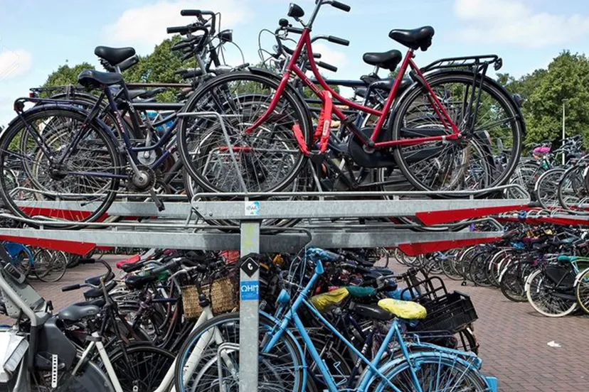 311772925 489044216587124 451330860111867906 n