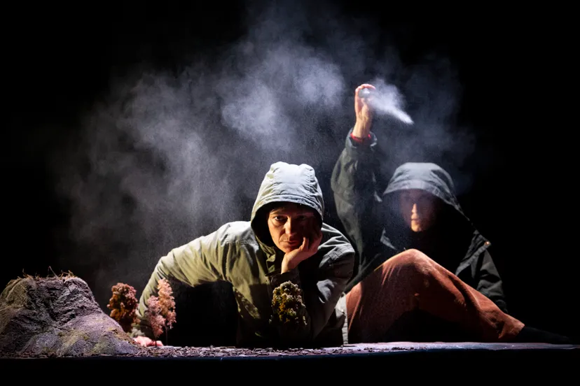 ciefocus chaliwatecarolina ortega 3 dimanche virginie meigne