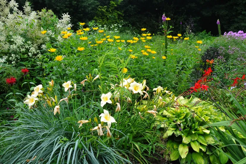 dedemsvaart tuinen mien ruys2 foto caroline hendriksen
