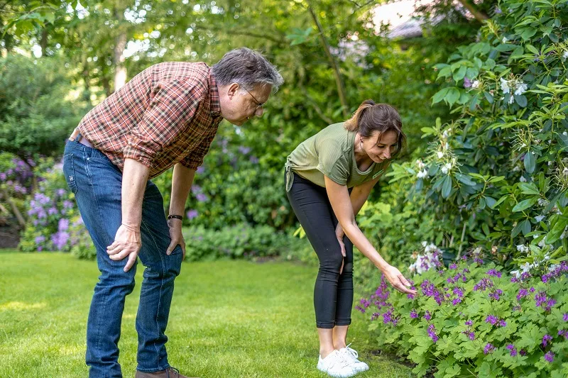 foto persbericht regionale samenwerking web