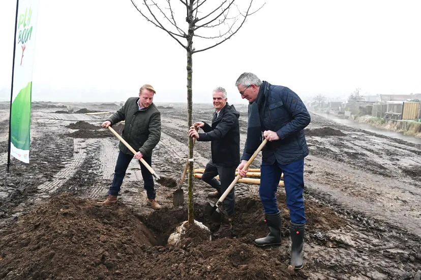 gemmeppel mandenmakerspark nijeveenseweg 080323 foto daan prest 9638