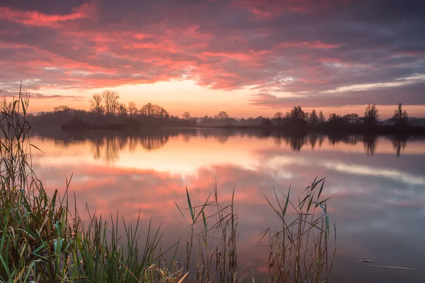 opstap 0808 avondlicht de wieden