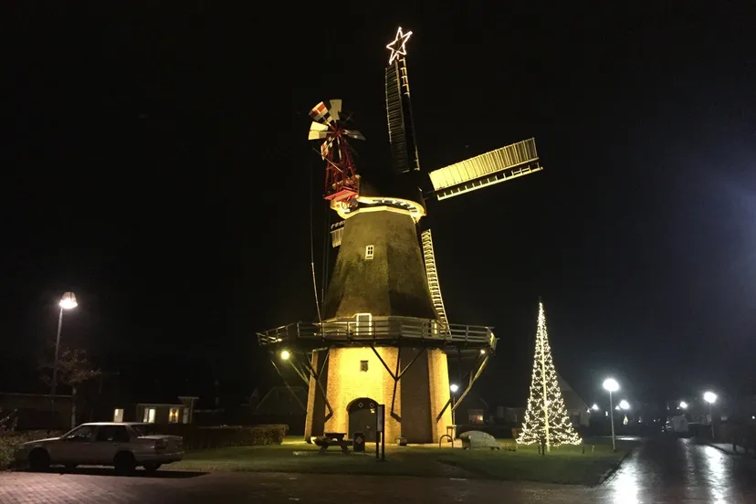 photo 5843935681116748539 y