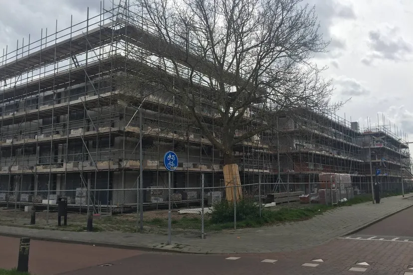 photo 5922473341422255211 y