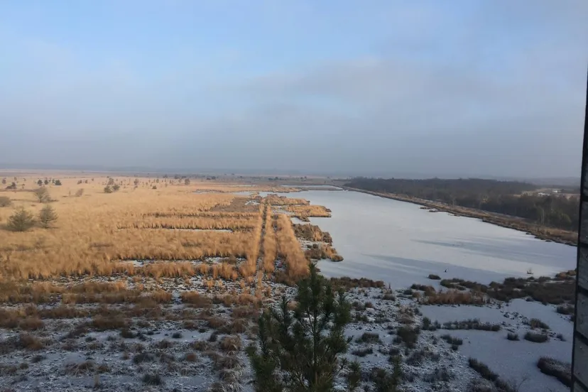 photo 5938202387833534924 y