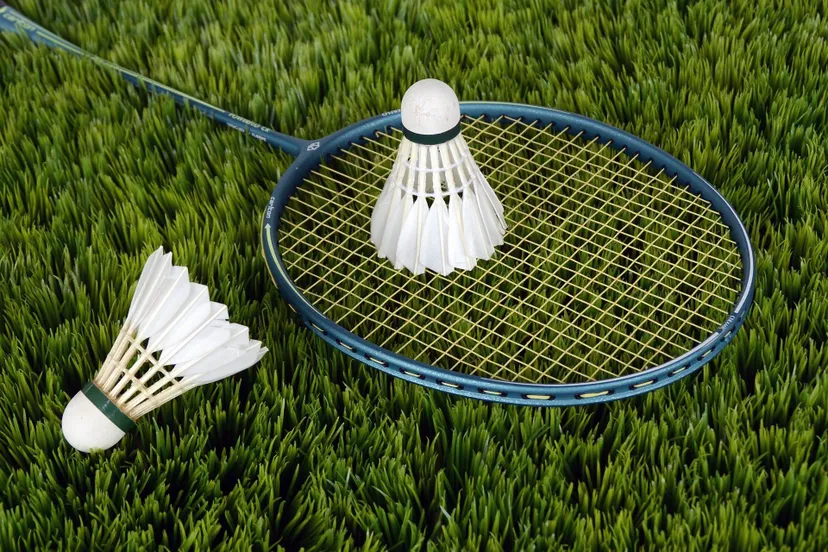 pixabay ancapictures badminton 1428046 1920