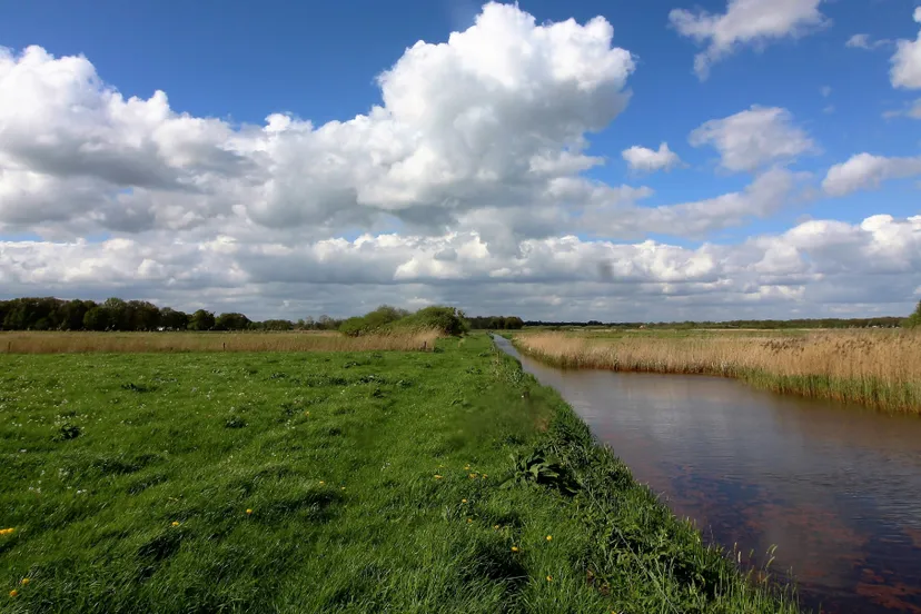 vledders leijerhoioilanden